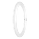 Osram Rura LED T9 Okólnik (EM/Mains) 18.3W 2200lm - 840 Zimna Biel | Zamienne 32W